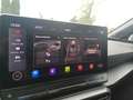 CUPRA SP 1.5 eTSI 110kW (150CV) DSG Gris - thumbnail 16