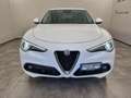 Alfa Romeo Stelvio 2.2 Turbodiesel 190 CV AT8 Q4 Executive Bianco - thumbnail 5