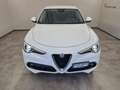 Alfa Romeo Stelvio 2.2 Turbodiesel 190 CV AT8 Q4 Executive Bianco - thumbnail 12