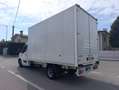 Renault Master 2.3 DCI Bianco - thumbnail 5