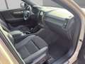 Volvo XC40 Plus Dark 2WD Beige - thumbnail 9