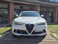 Alfa Romeo Stelvio 2.0 t Ti Q4 280cv auto Bianco - thumbnail 2