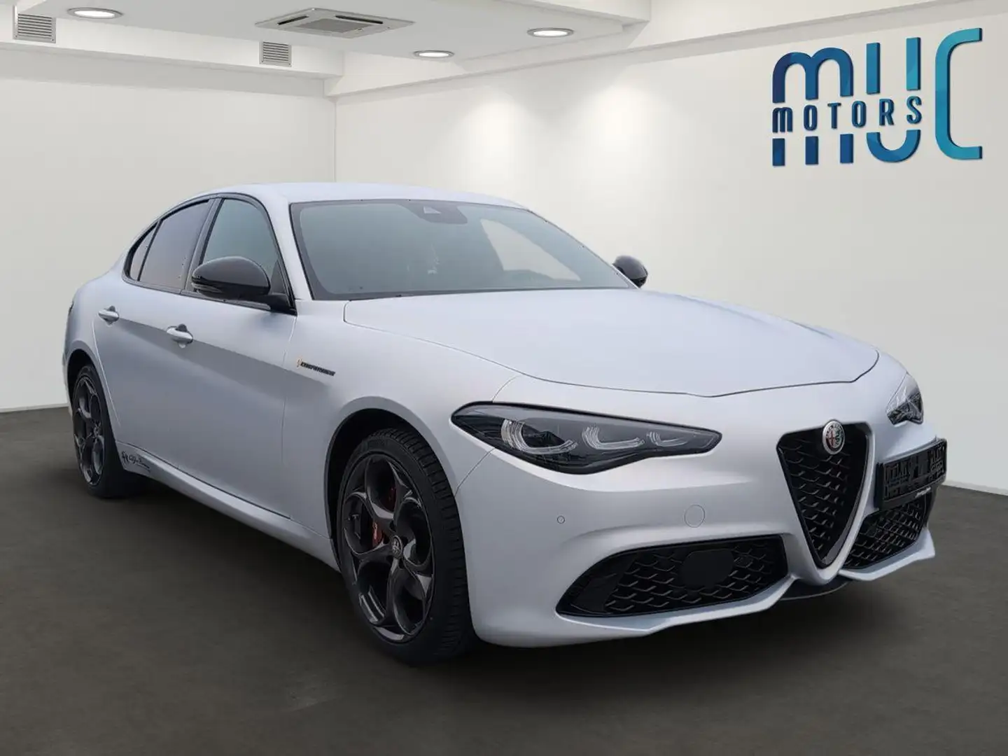 Alfa Romeo Giulia 2.0 Turbo Competizione Q4~MattGrau Grau - 2