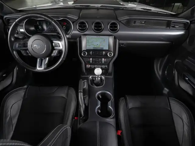 Ford Mustang view 13