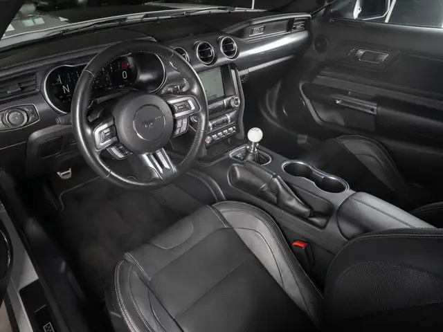 Ford Mustang view 10