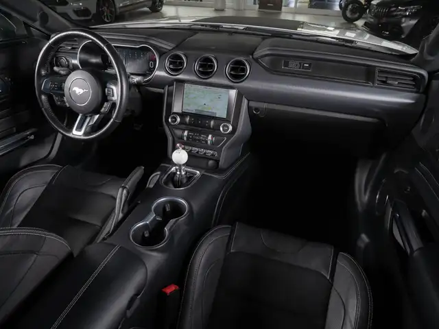 Ford Mustang view 15