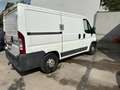 Fiat Ducato 100 Weiß - thumbnail 7