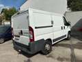 Fiat Ducato 100 Weiß - thumbnail 8