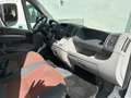 Fiat Ducato 100 Weiß - thumbnail 14