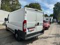 Fiat Ducato 100 Weiß - thumbnail 11