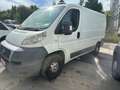 Fiat Ducato 100 Weiß - thumbnail 2