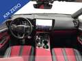 Lexus NX 350h 350h 2.5 f-sport 4wd e-cvt Grigio - thumbnail 12