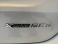 BMW X1 X1 F48 2019 xdrive25e Business Advantage auto Bianco - thumbnail 14