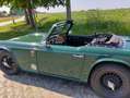 Triumph TR4 Vert - thumbnail 10