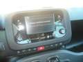 Fiat Panda 1.0 ibrido ---5 posti Schwarz - thumbnail 12