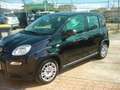 Fiat Panda 1.0 ibrido ---5 posti Schwarz - thumbnail 2