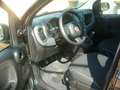 Fiat Panda 1.0 ibrido ---5 posti Schwarz - thumbnail 14