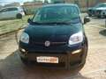 Fiat Panda 1.0 ibrido ---5 posti Schwarz - thumbnail 1