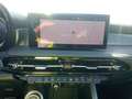 Alfa Romeo Tonale 1.6 DS Sprint FWD Verde - thumbnail 10