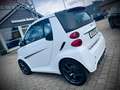 smart forTwo fortwo cabrio Brabus Xclusive*LEDER*DAB* Weiß - thumbnail 4