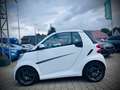 smart forTwo fortwo cabrio Brabus Xclusive*LEDER*DAB* Weiß - thumbnail 3