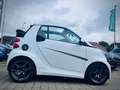 smart forTwo fortwo cabrio Brabus Xclusive*LEDER*DAB* Weiß - thumbnail 6