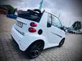 smart forTwo fortwo cabrio Brabus Xclusive*LEDER*DAB* Weiß - thumbnail 5