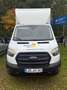 Ford Transit Koffer mit Ladeboardwand Weiß - thumbnail 15