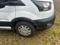 Ford Transit Koffer mit Ladeboardwand Weiß - thumbnail 8