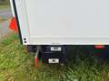 Ford Transit Koffer mit Ladeboardwand Weiß - thumbnail 7