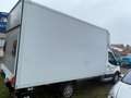 Ford Transit Koffer mit Ladeboardwand Weiß - thumbnail 13