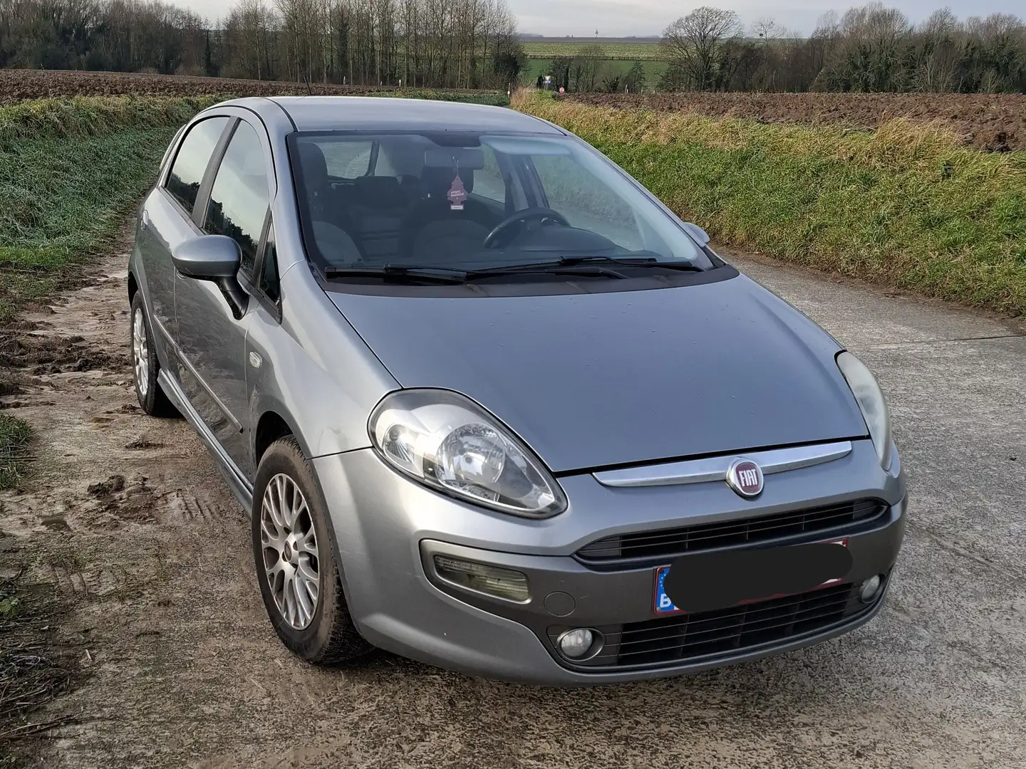 Fiat Punto Evo 1.3 MultiJet Gris - 1