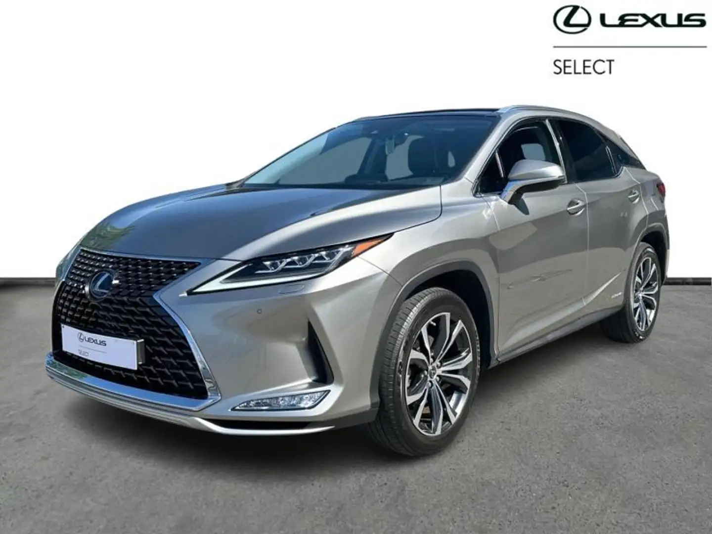Lexus RX 450h Executive Line & Pano Roof Grijs - 1