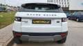 Land Rover Range Rover Evoque 2.2L eD4 Pure 4x2 Blanco - thumbnail 6