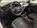 Ford Focus 1.0 Ecoboost MHEV 114kW Active Blanco - thumbnail 11