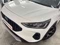 Ford Focus 1.0 Ecoboost MHEV 114kW Active Blanco - thumbnail 7
