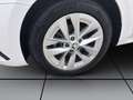 Skoda Octavia Combi 2.0 TDI DSG STYLE NAVI SITZHZG PDC Weiß - thumbnail 8