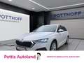Skoda Octavia Combi 2.0 TDI DSG STYLE NAVI SITZHZG PDC Weiß - thumbnail 1