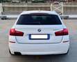 BMW 520 520d Touring xdrive Luxury 184cv auto E6 - thumbnail 5