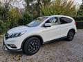 Honda CR-V CR-V IV 2015 1.6 Elegance + Navi 2wd my16 Білий - thumbnail 2