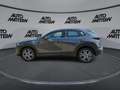 Mazda CX-30 Klimaaut.|NAVI|Kamera|PDC|CarPlay|*TZ* Gris - thumbnail 4