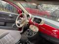 Fiat 500 Lounge (150) Cabrio Rood - thumbnail 6