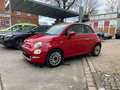 Fiat 500 Lounge (150) Cabrio Rood - thumbnail 1