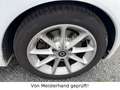 smart forTwo fortwo cabrio Micro Hybrid Drive 52kW Weiß - thumbnail 10