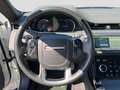 Land Rover Range Rover Evoque 2.0D 180 R-Dynamic S AWD Nav Weiß - thumbnail 9