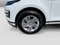 Land Rover Range Rover Evoque 2.0D 180 R-Dynamic S AWD Nav Weiß - thumbnail 5