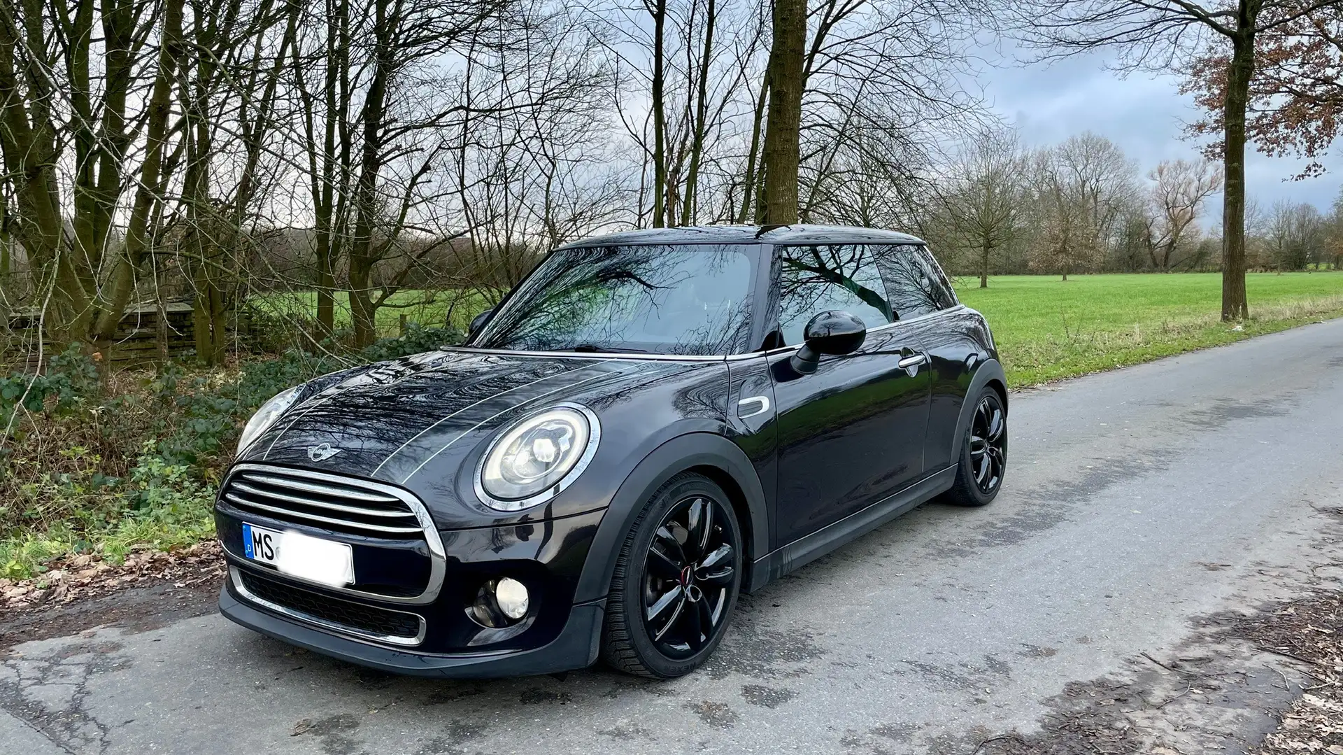 MINI Cooper D Braun - 1