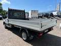 Ford Transit 350 2.0 EcoBl.170CV PM Cassonato Trend Scattolini Bianco - thumbnail 4