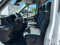 Ford Transit 350 2.0 EcoBl.170CV PM Cassonato Trend Scattolini Bianco - thumbnail 7