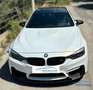 BMW M4 - IN ARRIVO - Bianco - thumbnail 6